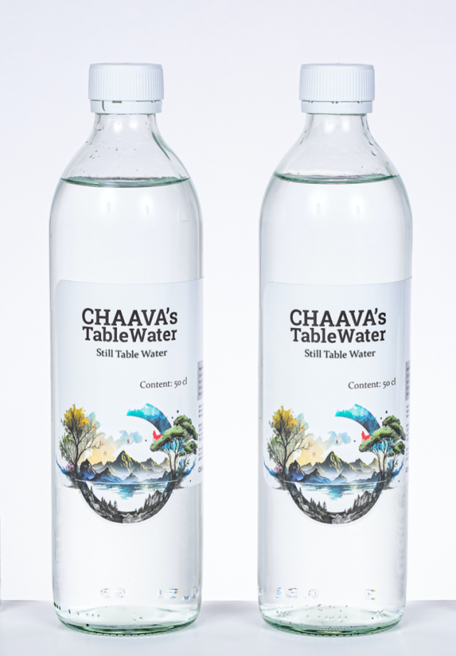 CHAAVA's TafelWasser in 500 ml Flaschen 6 Stk. im Set/Karton